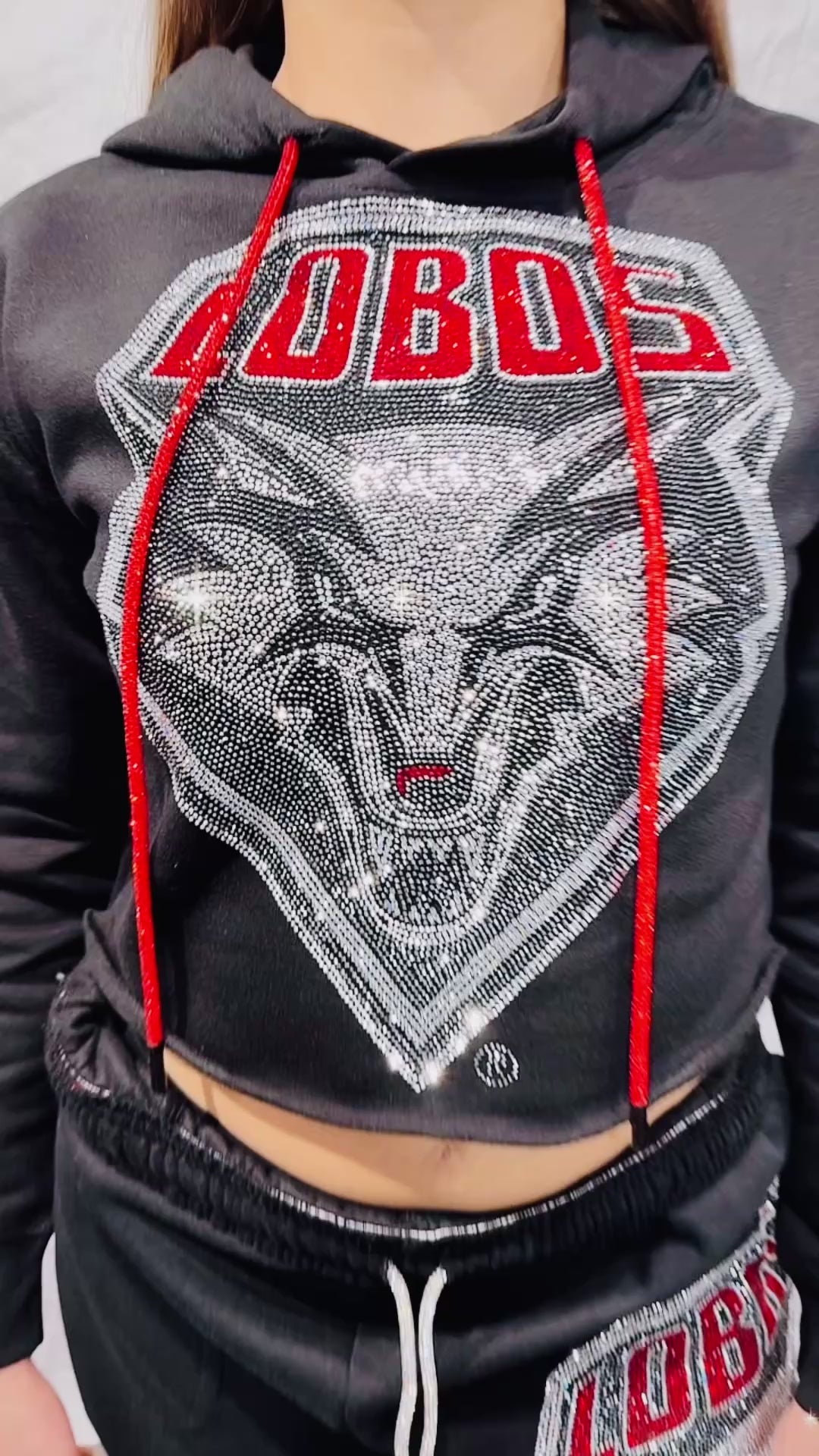 New Mexico Lobos Crop Rhinestone Hoodie – Eddie Valentin